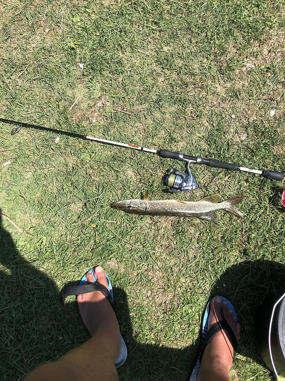 Натиснете снимката за да я уголемите  Име:IMG_0982[1].JPG Прегледи:0 Размер:1.38 МБ ID:6638099