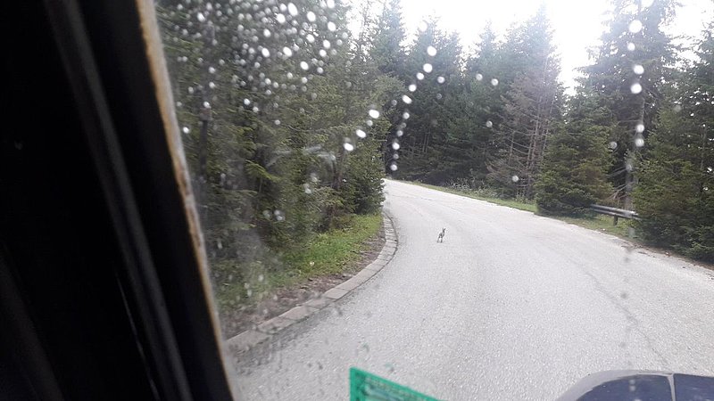 Натиснете снимката за да я уголемите

Име:20200825_131334.jpg
Прегледи:140
Размер:101.8 КБ
ID:6638613