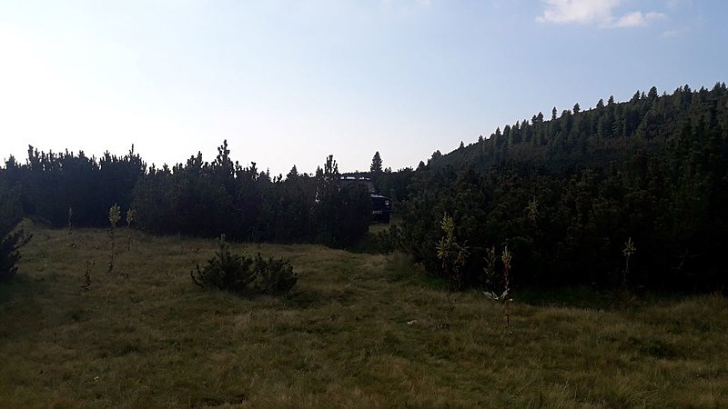 Натиснете снимката за да я уголемите

Име:уаз в клек.jpg
Прегледи:311
Размер:73.2 КБ
ID:6638993