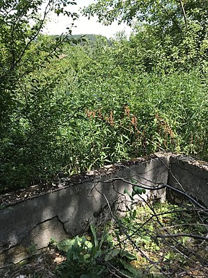 Натиснете снимката за да я уголемите

Име:527 кладенец 3.JPG
Прегледи:1607
Размер:1.18 МБ
ID:6640592