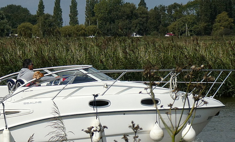 Натиснете снимката за да я уголемите  Име:1 (3).JPG Прегледи:0 Размер:249.5 КБ ID:6641485