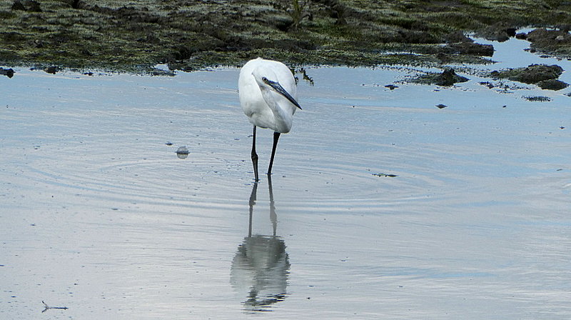 Натиснете снимката за да я уголемите  Име:1 (2).JPG Прегледи:0 Размер:172.7 КБ ID:6641495