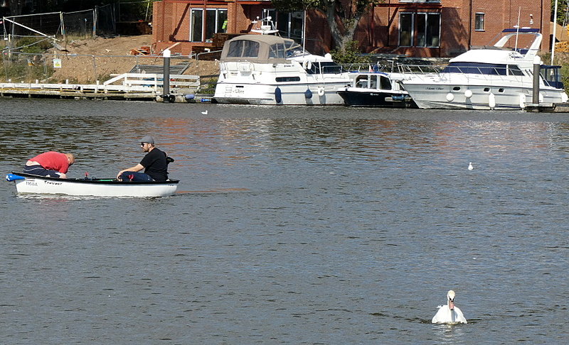 Натиснете снимката за да я уголемите  Име:1 (9).JPG Прегледи:0 Размер:252.6 КБ ID:6641493