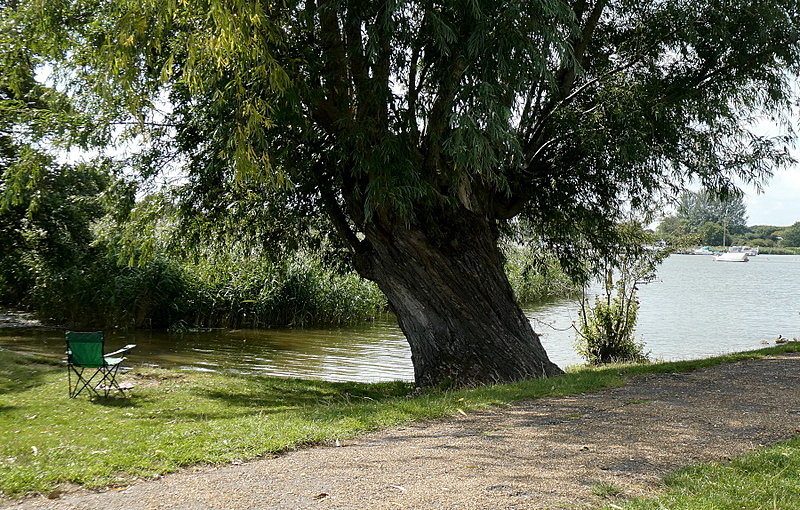 Натиснете снимката за да я уголемите  Име:1 (30).JPG Прегледи:0 Размер:367.9 КБ ID:6641517