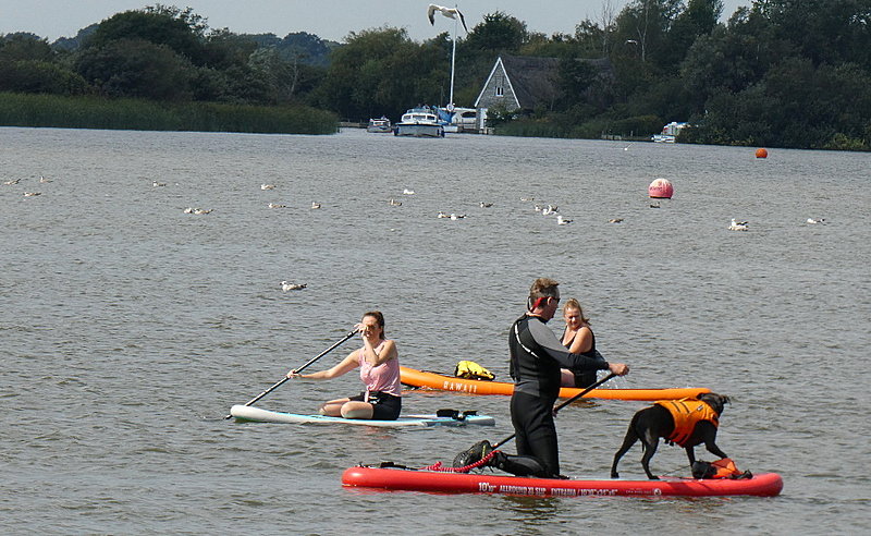 Натиснете снимката за да я уголемите  Име:1 (31).JPG Прегледи:0 Размер:233.5 КБ ID:6641526