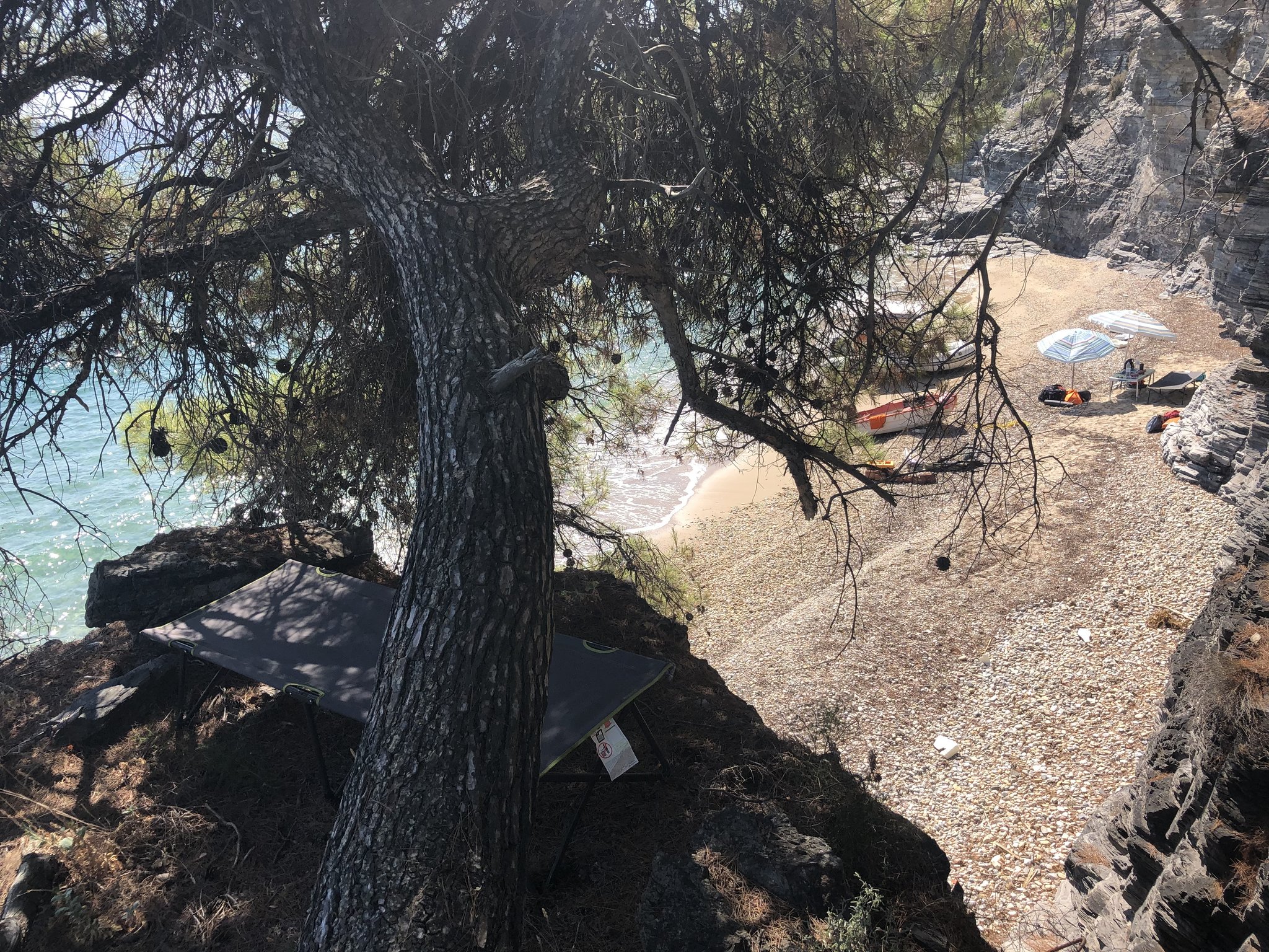 Натиснете снимката за да я уголемите

Име:image_905159.jpg
Прегледи:1126
Размер:1.17 МБ
ID:6641836