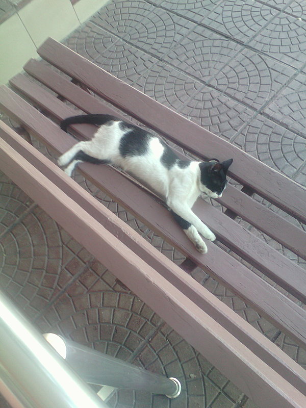 Натиснете снимката за да я уголемите

Име:IMG_20200824_173139[1].jpg
Прегледи:521
Размер:385.5 КБ
ID:6641888