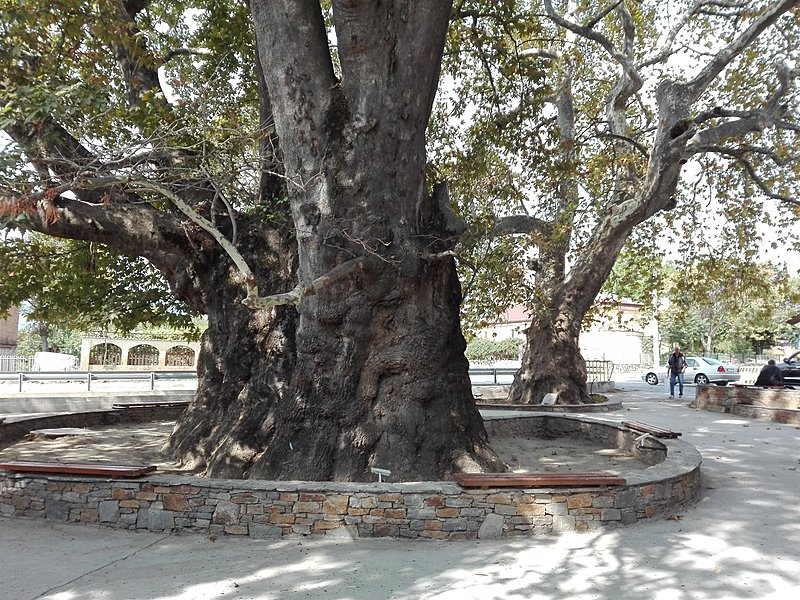 Натиснете снимката за да я уголемите

Име:IMG_20200923_120211.jpg
Прегледи:349
Размер:876.8 КБ
ID:6649859