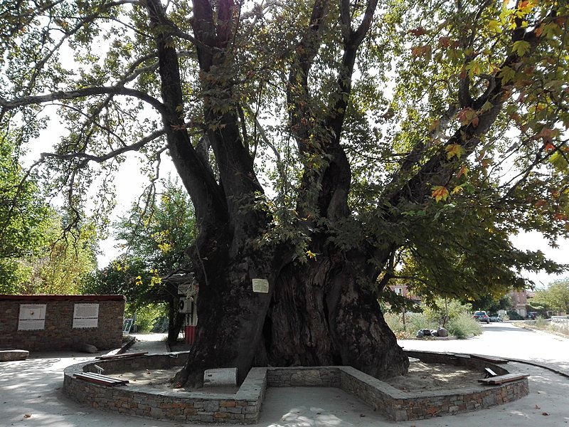 Натиснете снимката за да я уголемите

Име:IMG_20200923_120108.jpg
Прегледи:354
Размер:885.9 КБ
ID:6649860