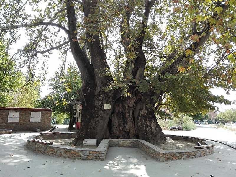 Натиснете снимката за да я уголемите

Име:IMG_20200923_120102.jpg
Прегледи:350
Размер:970.4 КБ
ID:6649861