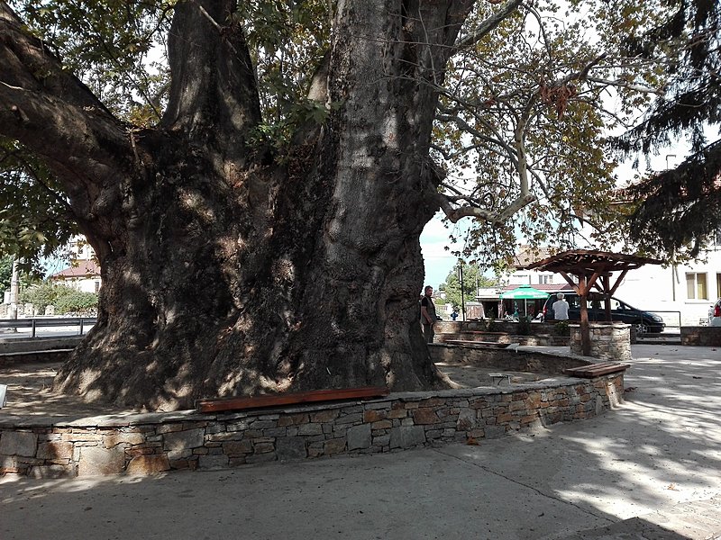 Натиснете снимката за да я уголемите

Име:IMG_20200923_120234.jpg
Прегледи:351
Размер:895.9 КБ
ID:6649862