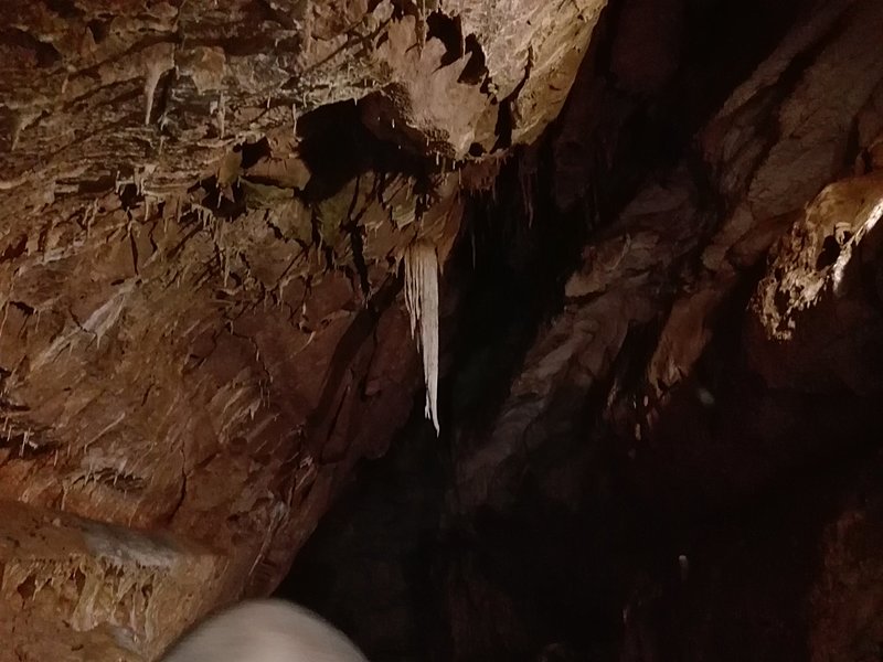 Натиснете снимката за да я уголемите

Име:IMG_20200924_123319.jpg
Прегледи:322
Размер:286.0 КБ
ID:6649896