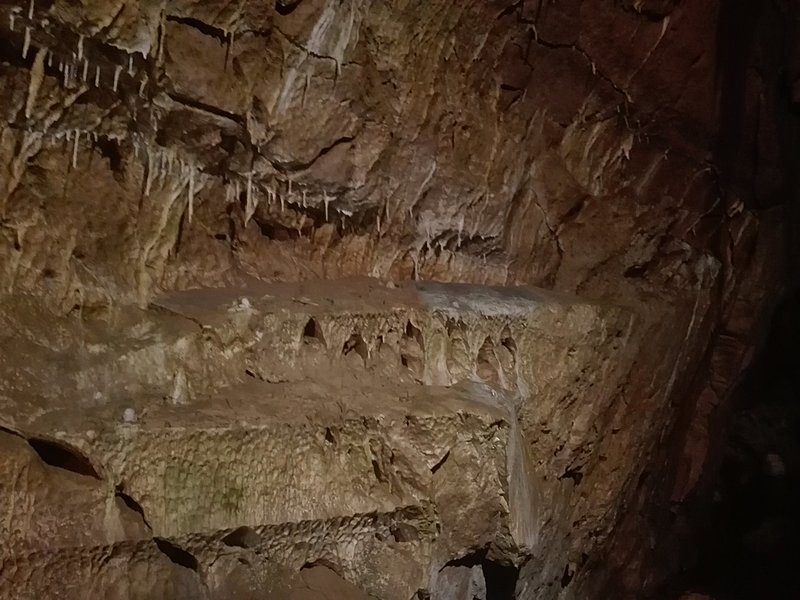 Натиснете снимката за да я уголемите

Име:IMG_20200924_123342.jpg
Прегледи:344
Размер:341.2 КБ
ID:6649900