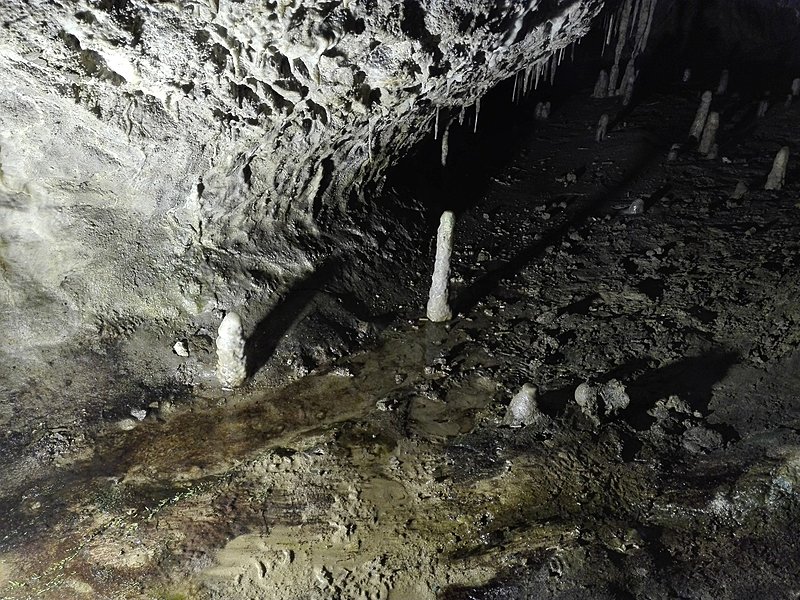 Натиснете снимката за да я уголемите

Име:IMG_20200924_123507.jpg
Прегледи:341
Размер:843.1 КБ
ID:6649907