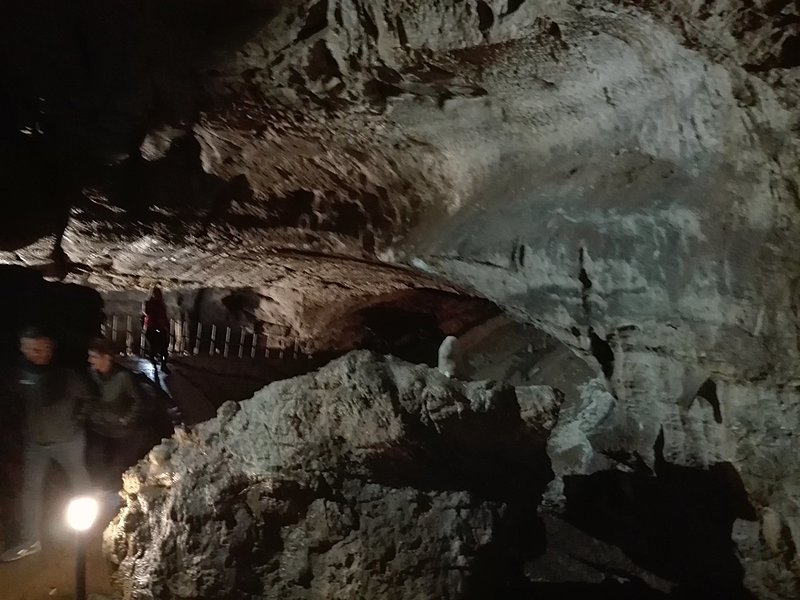 Натиснете снимката за да я уголемите

Име:IMG_20200924_123549.jpg
Прегледи:341
Размер:329.8 КБ
ID:6649903