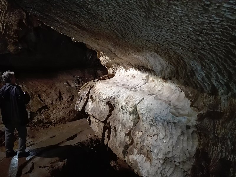 Натиснете снимката за да я уголемите

Име:IMG_20200924_123656.jpg
Прегледи:340
Размер:377.1 КБ
ID:6649908