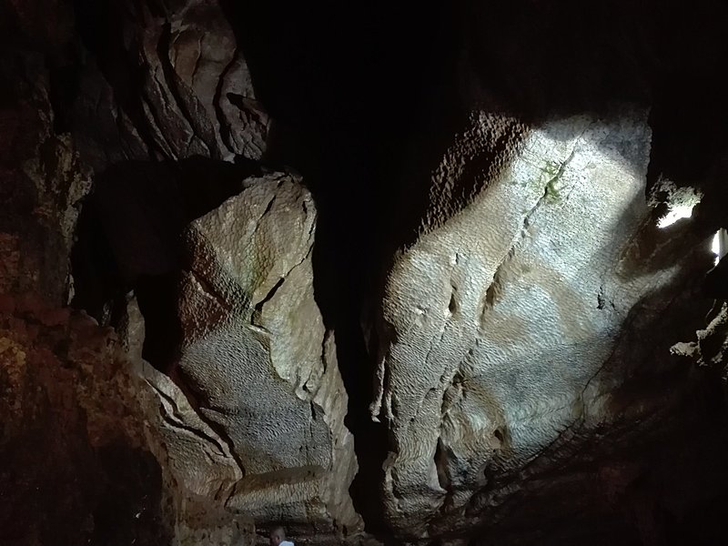 Натиснете снимката за да я уголемите

Име:IMG_20200924_123629.jpg
Прегледи:348
Размер:339.8 КБ
ID:6649909