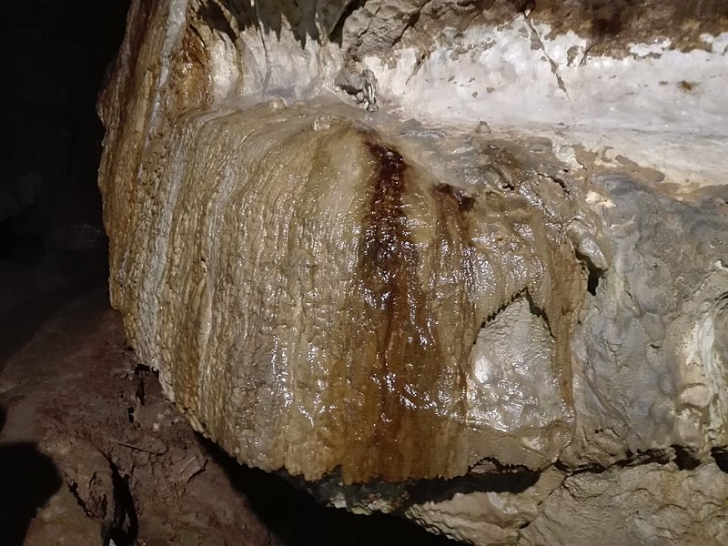 Натиснете снимката за да я уголемите

Име:IMG_20200924_123708.jpg
Прегледи:337
Размер:447.7 КБ
ID:6649911