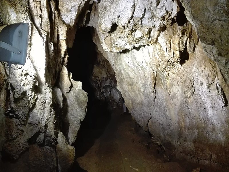 Натиснете снимката за да я уголемите

Име:IMG_20200924_124547.jpg
Прегледи:329
Размер:532.8 КБ
ID:6649919