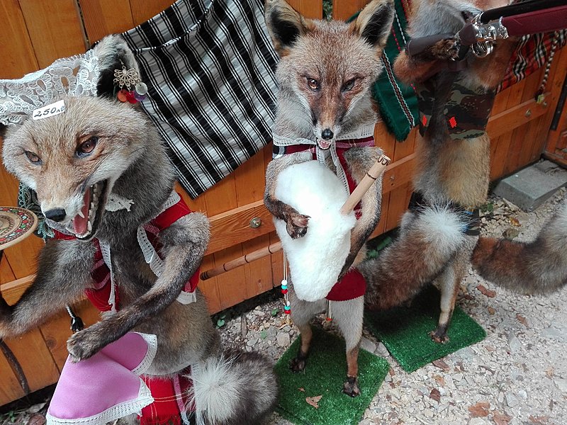 Натиснете снимката за да я уголемите

Име:IMG_20200924_125548.jpg
Прегледи:324
Размер:799.4 КБ
ID:6649923