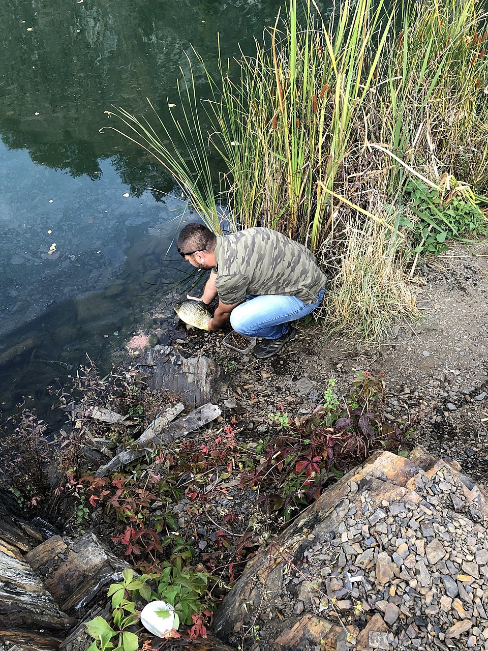 Натиснете снимката за да я уголемите

Име:IMG_1116[1].JPG
Прегледи:261
Размер:1.11 МБ
ID:6653031