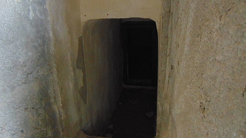 Натиснете снимката за да я уголемите

Име:DSC03446.jpg
Прегледи:659
Размер:303.1 КБ
ID:6653751