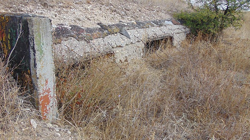 Натиснете снимката за да я уголемите

Име:DSC03484.jpg
Прегледи:634
Размер:935.1 КБ
ID:6653725