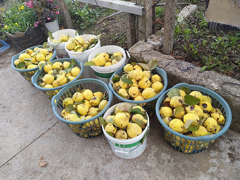 Натиснете снимката за да я уголемите

Име:121787283_1227953927578544_3178730709561571734_n.jpg
Прегледи:1209
Размер:707.3 КБ
ID:6658441