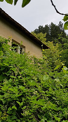 Натиснете снимката за да я уголемите

Име:къща отвън    (2).jpg
Прегледи:489
Размер:654.3 КБ
ID:6660353