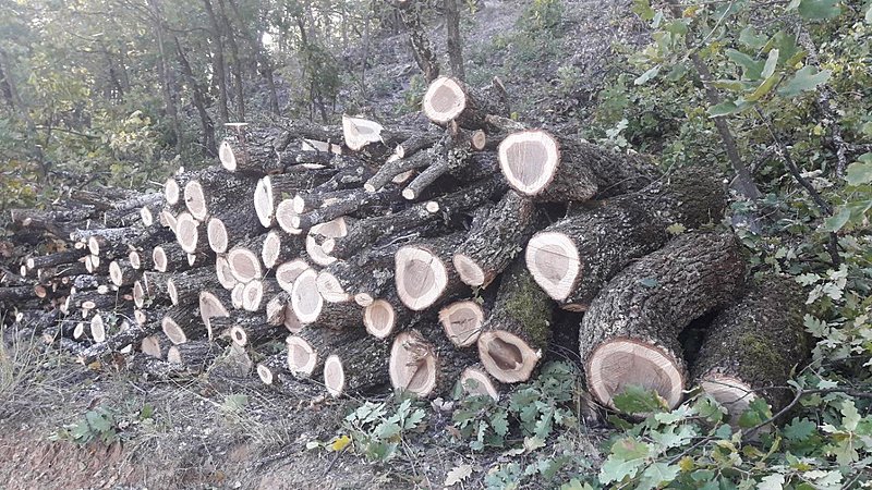 Натиснете снимката за да я уголемите

Име:20201023_162838.jpg
Прегледи:138
Размер:243.7 КБ
ID:6660694