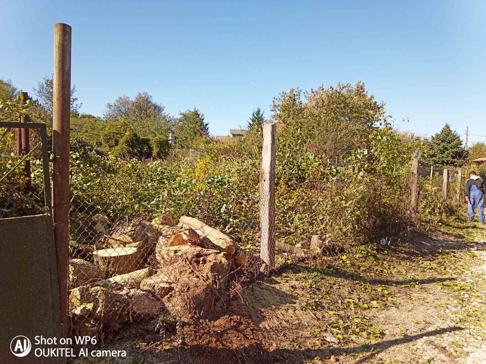 Натиснете снимката за да я уголемите

Име:IMG-605ca7a26831d4d12c05a7d39738febf-V.jpg
Прегледи:859
Размер:241.1 КБ
ID:6660743