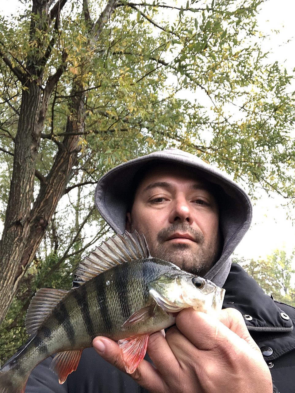 Натиснете снимката за да я уголемите  Име:IMG_1133[1].JPG Прегледи:0 Размер:637.4 КБ ID:6661343