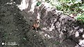 Натиснете снимката за да я уголемите  Име:IMG_20180512_122922.jpg Прегледи:0 Размер:807.7 КБ ID:6666095