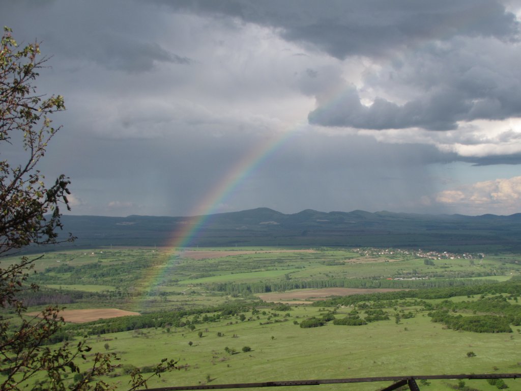 Натиснете снимката за да я уголемите

Име:IMG_1685.jpg
Прегледи:1
Размер:105.9 КБ
ID:5600377