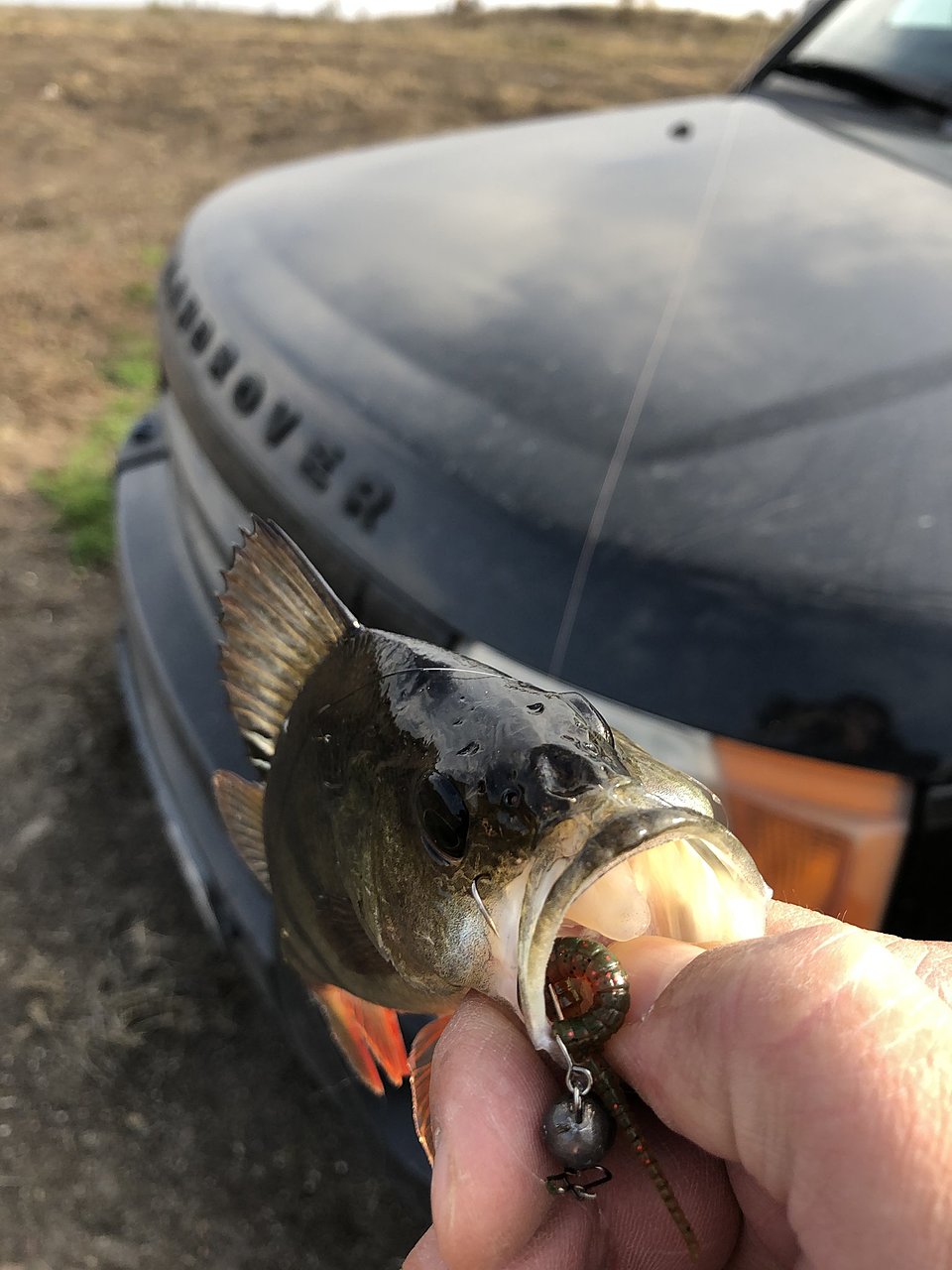 Натиснете снимката за да я уголемите  Име:IMG_1191[1].JPG Прегледи:0 Размер:264.3 КБ ID:6670162