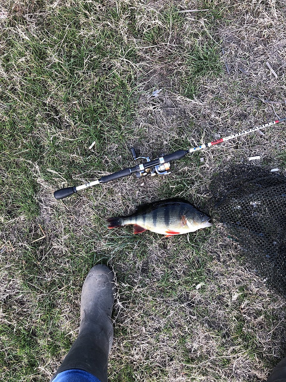 Натиснете снимката за да я уголемите  Име:IMG_1205[1].JPG Прегледи:0 Размер:1.59 МБ ID:6670163