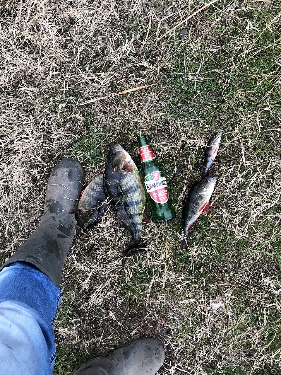 Натиснете снимката за да я уголемите  Име:IMG_1213[1].JPG Прегледи:0 Размер:1.36 МБ ID:6670164