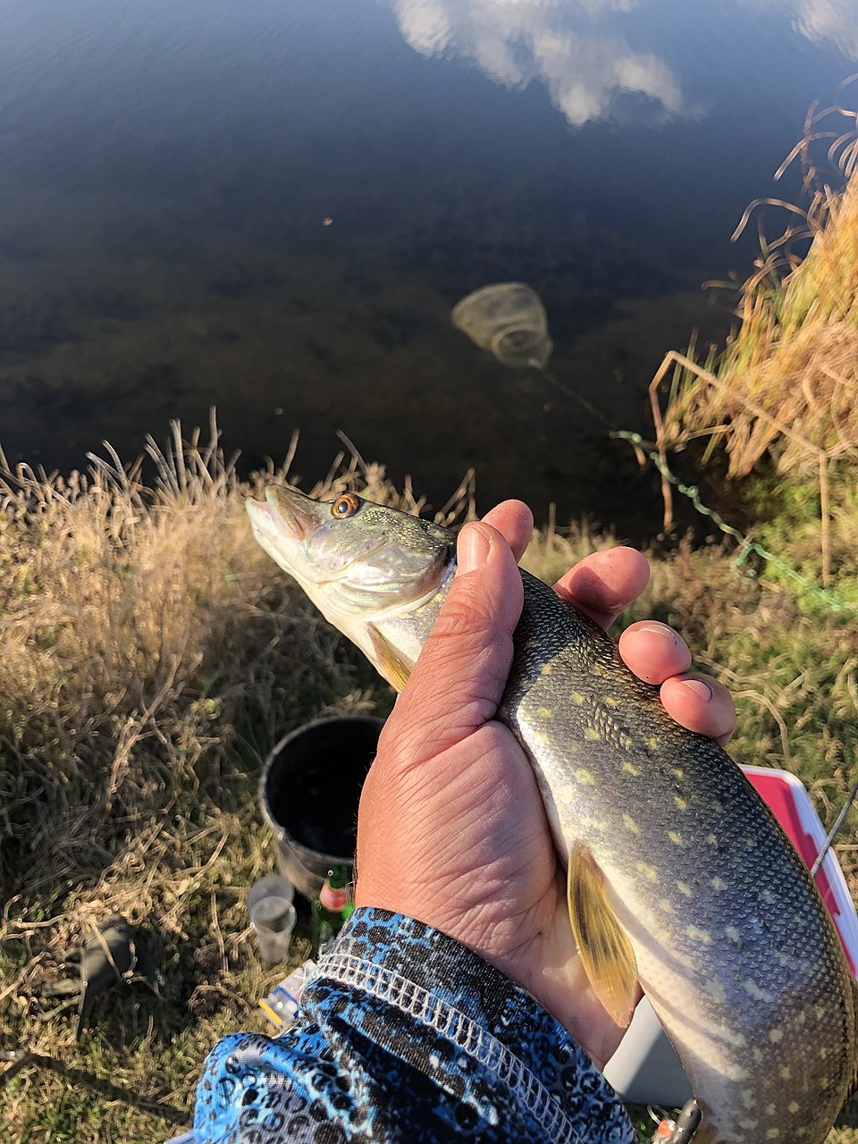 Натиснете снимката за да я уголемите

Име:IMG_1221[1].JPG
Прегледи:377
Размер:523.8 КБ
ID:6670892