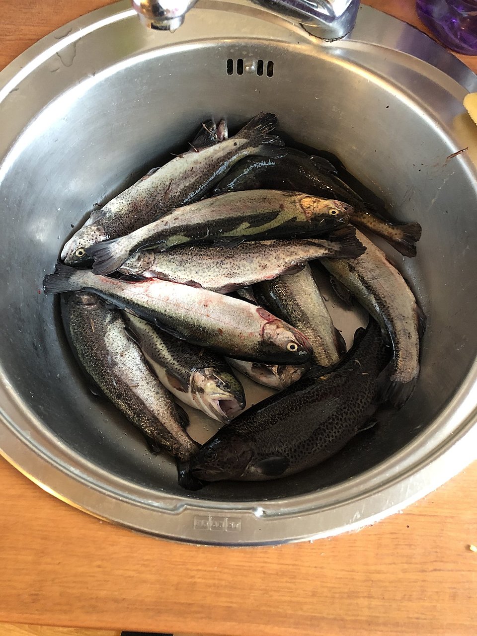 Натиснете снимката за да я уголемите

Име:IMG_1262[1].JPG
Прегледи:126
Размер:471.8 КБ
ID:6677348