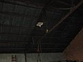 Натиснете снимката за да я уголемите

Име:IMG_9720.JPG
Прегледи:343
Размер:31.8 КБ
ID:6682653