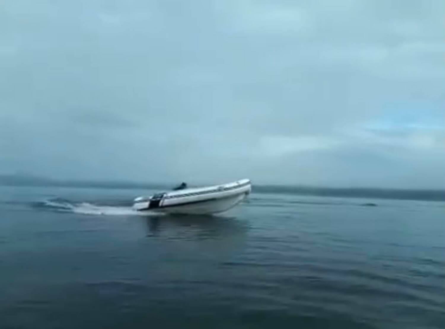 Натиснете снимката за да я уголемите  Име:130995032_1022856635133840_7765849069475322347_n.jpg Прегледи:0 Размер:34.6 КБ ID:6683050