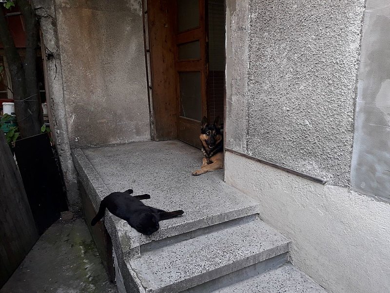 Натиснете снимката за да я уголемите

Име:пазачите.jpg
Прегледи:134
Размер:231.1 КБ
ID:6684666