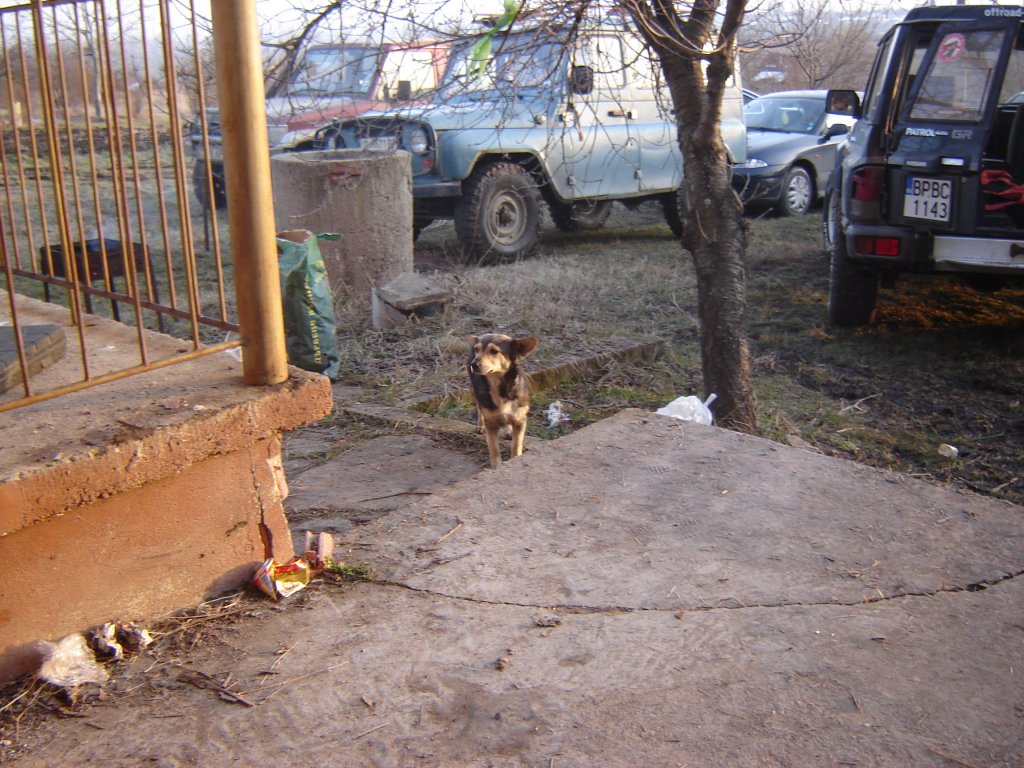 Натиснете снимката за да я уголемите

Име:DSC00063.jpg
Прегледи:2
Размер:196.5 КБ
ID:5259269