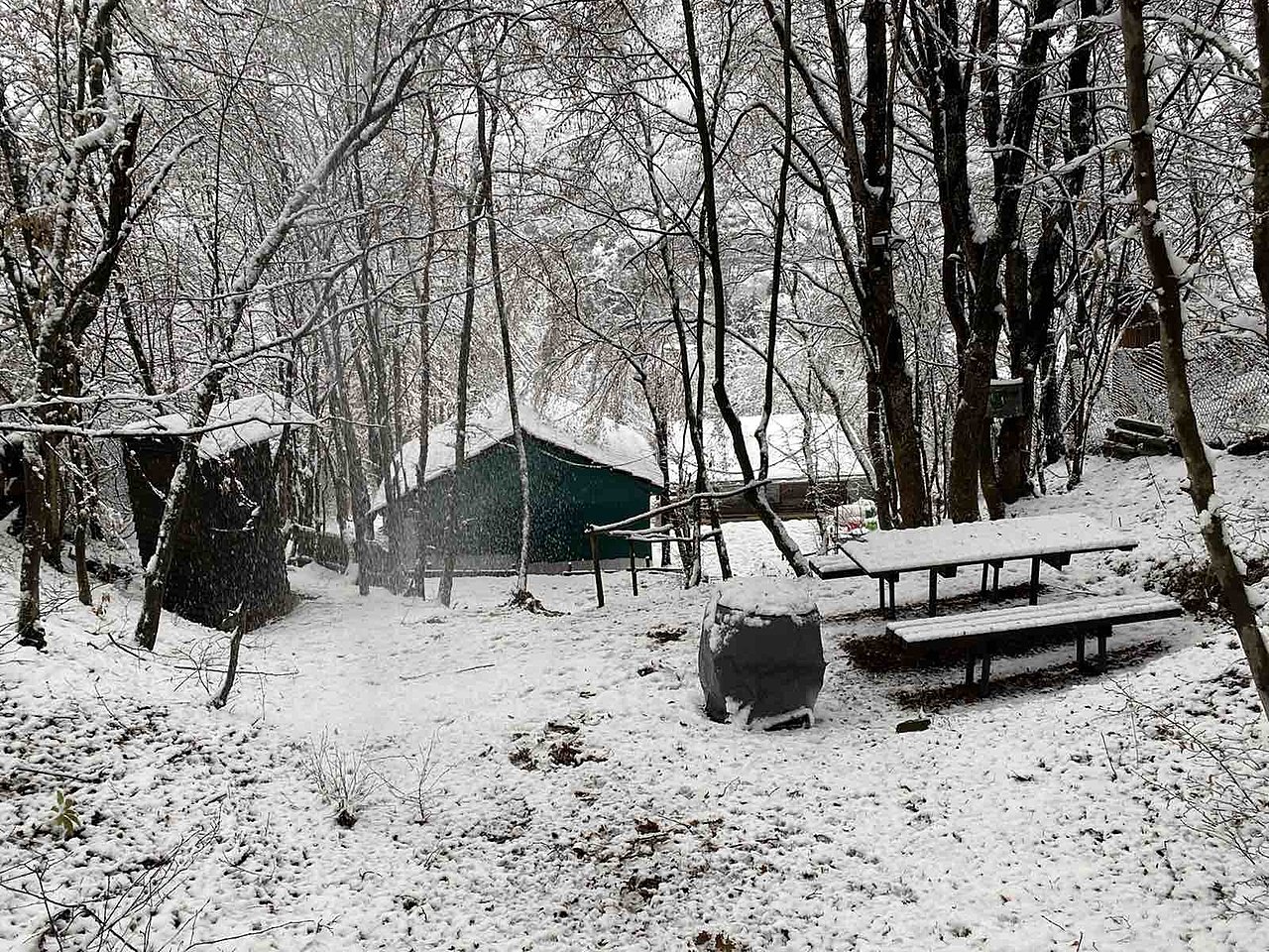 Натиснете снимката за да я уголемите

Име:1.jpg
Прегледи:933
Размер:447.0 КБ
ID:6694088