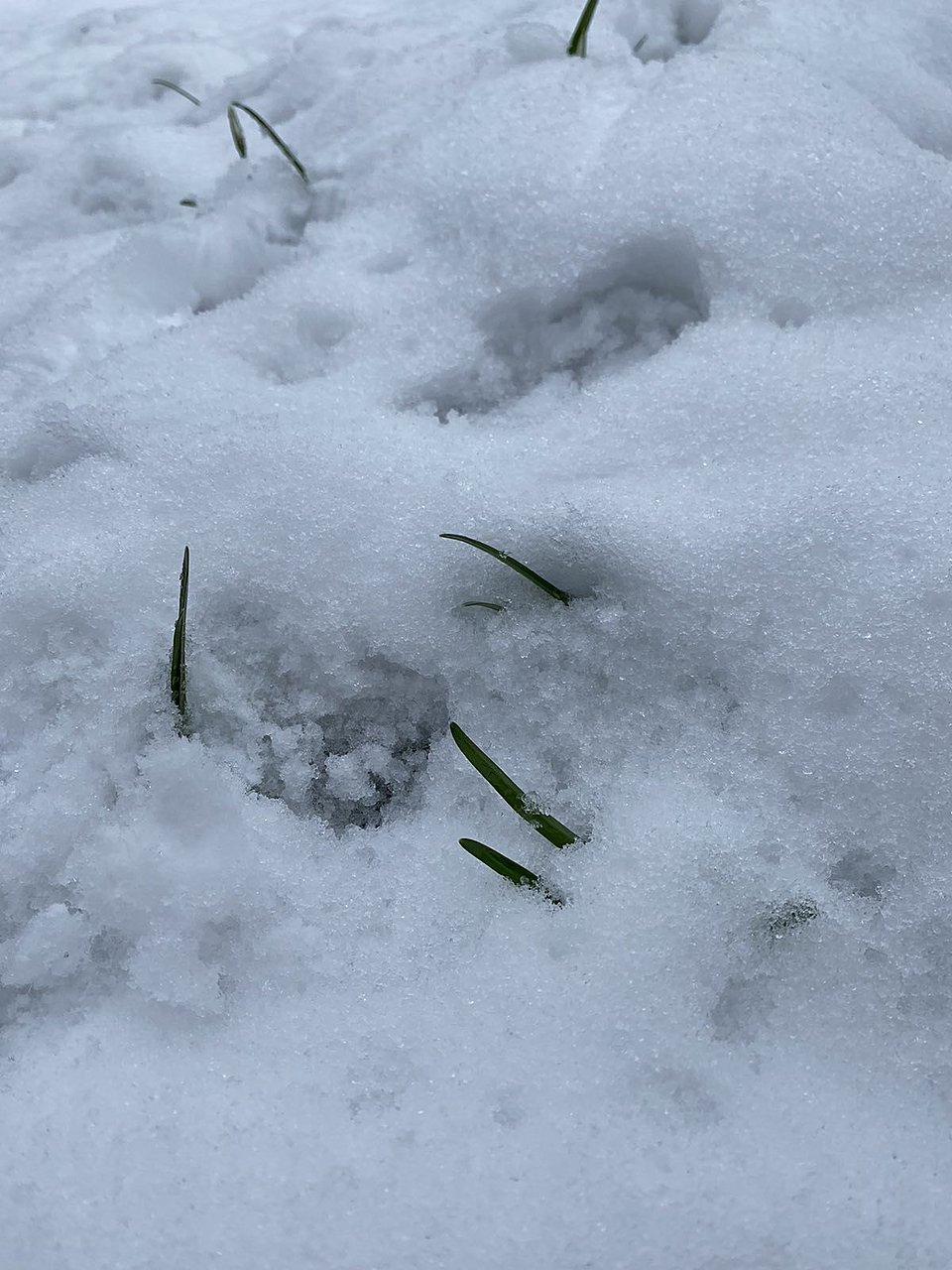 Натиснете снимката за да я уголемите

Име:4.jpg
Прегледи:919
Размер:198.6 КБ
ID:6694092