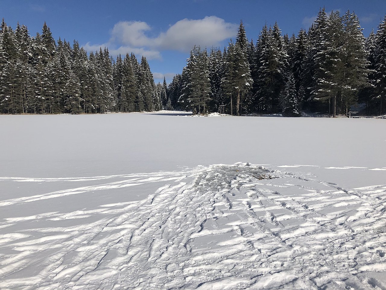 Натиснете снимката за да я уголемите

Име:IMG_1385[1].JPG
Прегледи:149
Размер:658.6 КБ
ID:6696626
