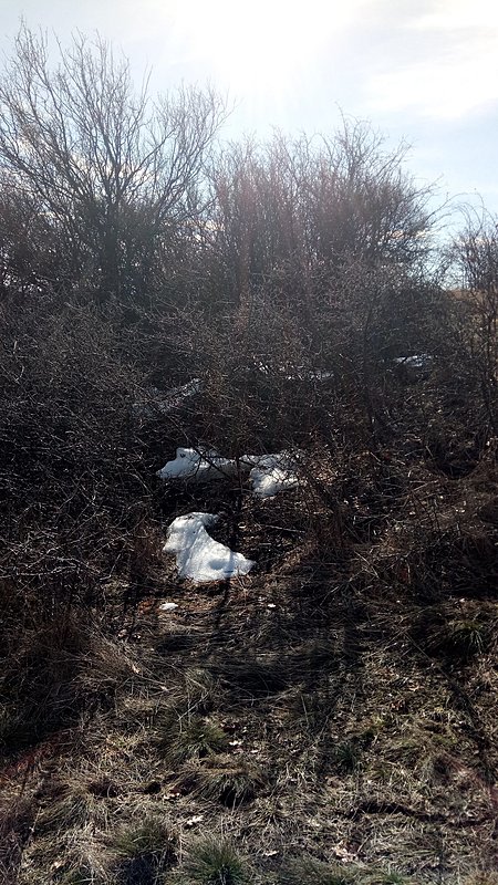 Натиснете снимката за да я уголемите

Име:Snow.jpg
Прегледи:488
Размер:780.4 КБ
ID:6706050