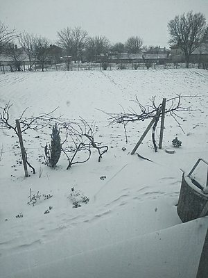 Натиснете снимката за да я уголемите

Име:IMG_20210214_094121.jpg
Прегледи:157
Размер:508.2 КБ
ID:6708916