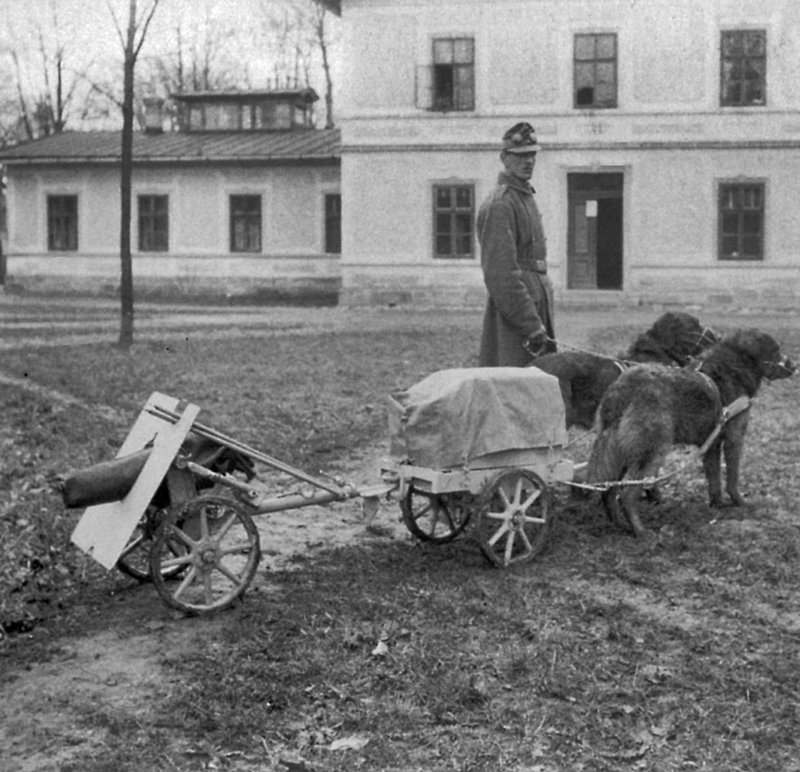 Натиснете снимката за да я уголемите

Име:Infanteriegeschuetz_transport-05.jpg
Прегледи:372
Размер:206.7 КБ
ID:6711786