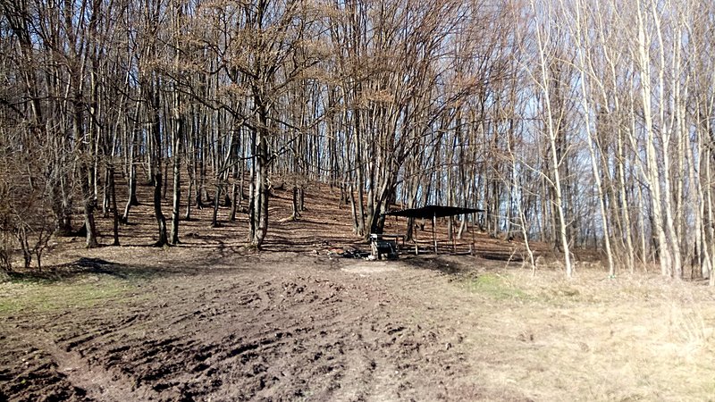 Натиснете снимката за да я уголемите  Име:IMG_20210227_112425.jpg Прегледи:12 Размер:730.4 КБ ID:6714545